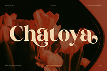 Chatoya Elegant Serif Display Font