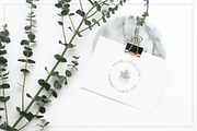 101 Vector Gardening Doodles, a Branding & Logo Template by pawellpi (Thumbnail 14 of 22)