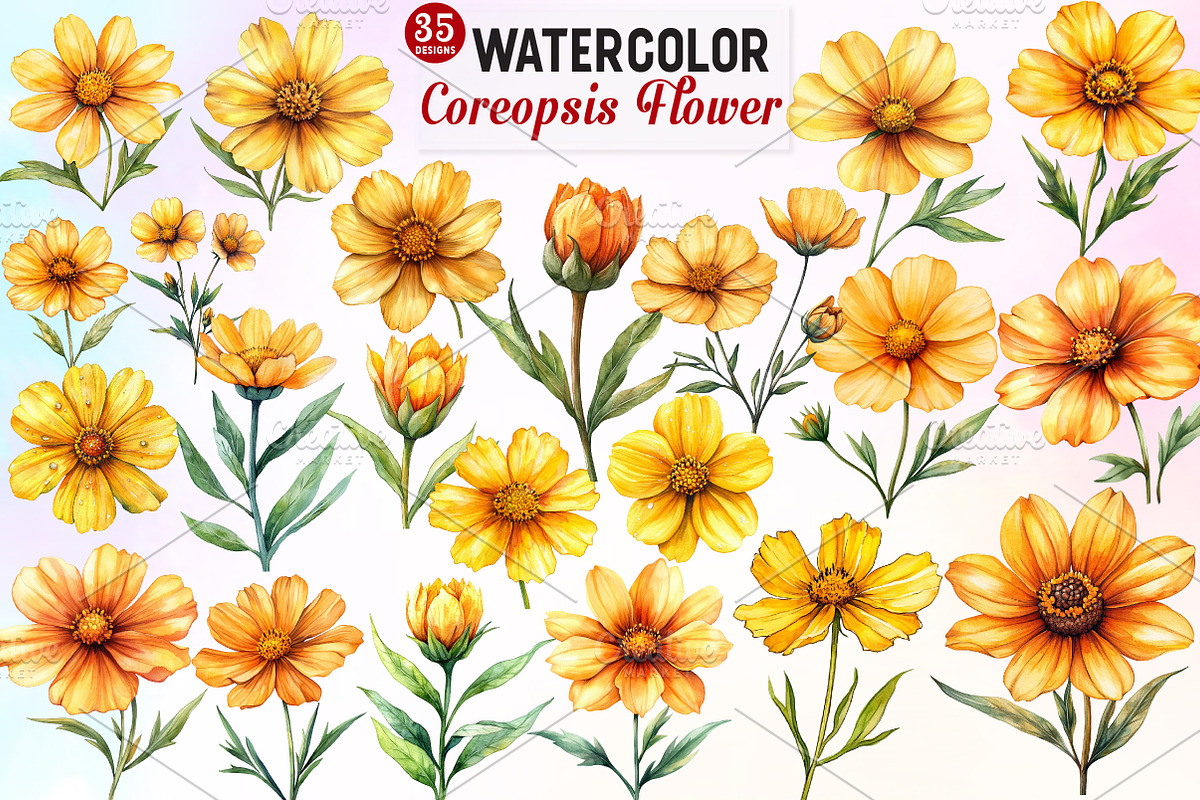 Coreopsis Flower Watercolor Clipart, an Illustration by Watercolor design (Photo 1 of 10)