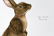 Watercolor brown rabbit clipart set, an Animal Illustration by yana.fefelova (Thumbnail 4 of 4)