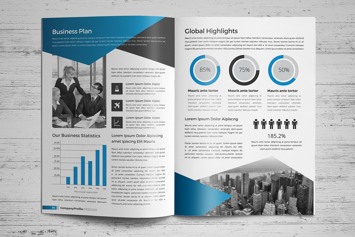 Company Profile Template V6, a Brochure Template by JanySultana (Photo 8 of 14)
