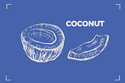 NUTS LINE ART SET (15+ elements), a Food Illustration by Bonfloret Studio (Thumbnail 8 of 10)