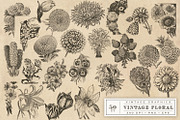 Vintage Flower Vector Graphics, an Illustration by Eclectic Anthology (Thumbnail 2 of 4)