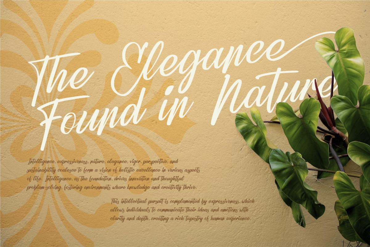 Refany Script Elegance Font, a Script Font by Catalystco Studio (Photo 6 of 7)