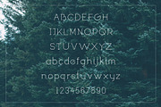 Marinette, a Slab Serif Font by ItsDianaDesign (Thumbnail 2 of 3)