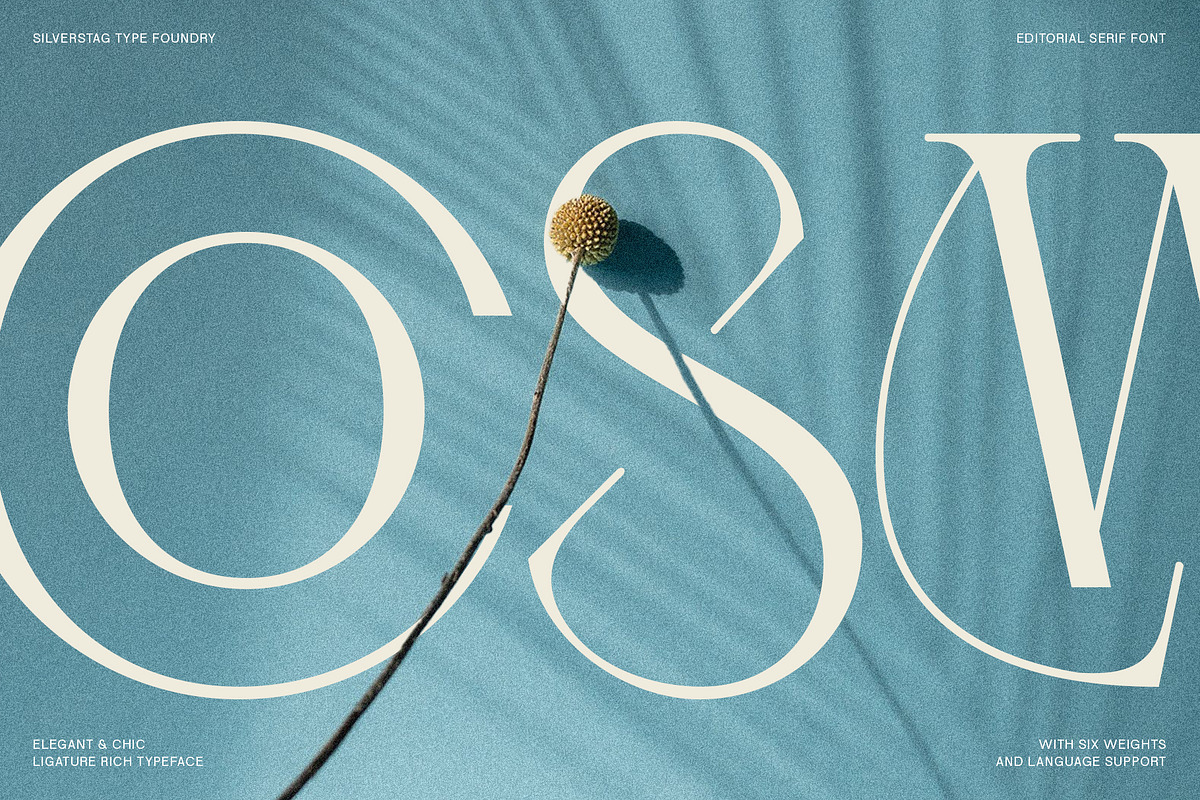 Cosmic Solace - Ligature Typeface, a Serif Font by SilverStag Type Foundry (Photo 6 of 30)
