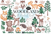 Woodland animals clip art, an Animal Illustration by SirenaArt (Thumbnail 1 of 11)