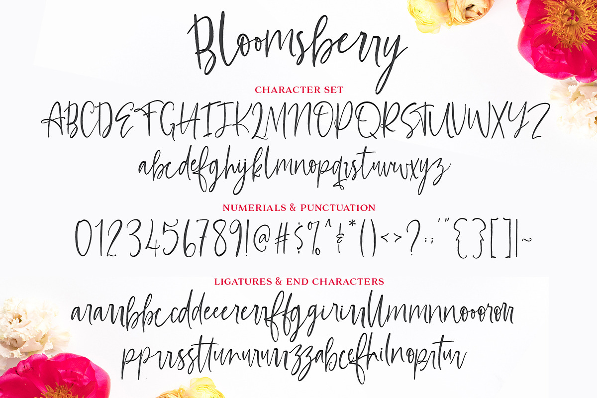 Bloomsberry Type & Graphics, a Handwritten Font by Callie Rian & Co. (Photo 11 of 14)