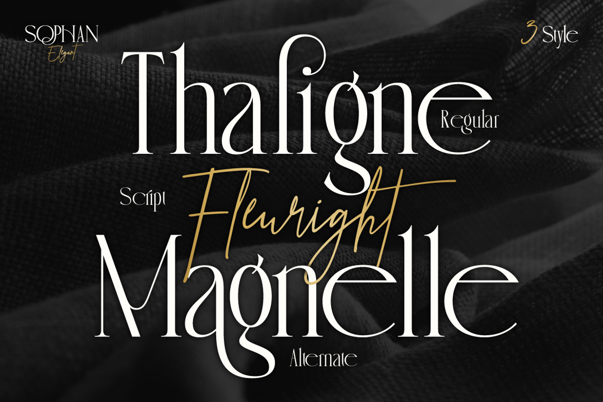 Sophan Elegant, a Serif Font by Burntilldead (Photo 4 of 12)