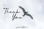 Better Signature Font, a Script Font by YdhraStudio (Thumbnail 9 of 9)