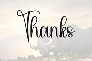Buffalo | Script Font, a Handwritten Font by Scratchones (Thumbnail 9 of 9)