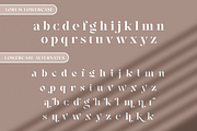 Lerum, a Serif Font by Larin Type Co. (Thumbnail 14 of 14)