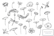 Lotus Blossom Vector Collection, a Pattern Graphic by Molly art (Thumbnail 14 of 16)