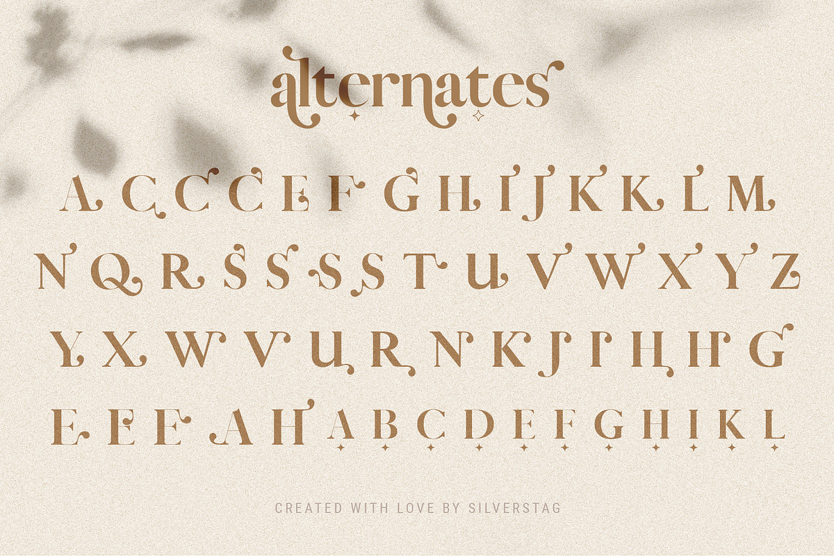 Vicky Christina Ligature Serif Font, a Serif Font by SilverStag Type Foundry (Photo 22 of 25)