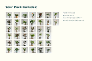 Home Plants, a Nature Photo by Typedreams.site (Thumbnail 8 of 9)