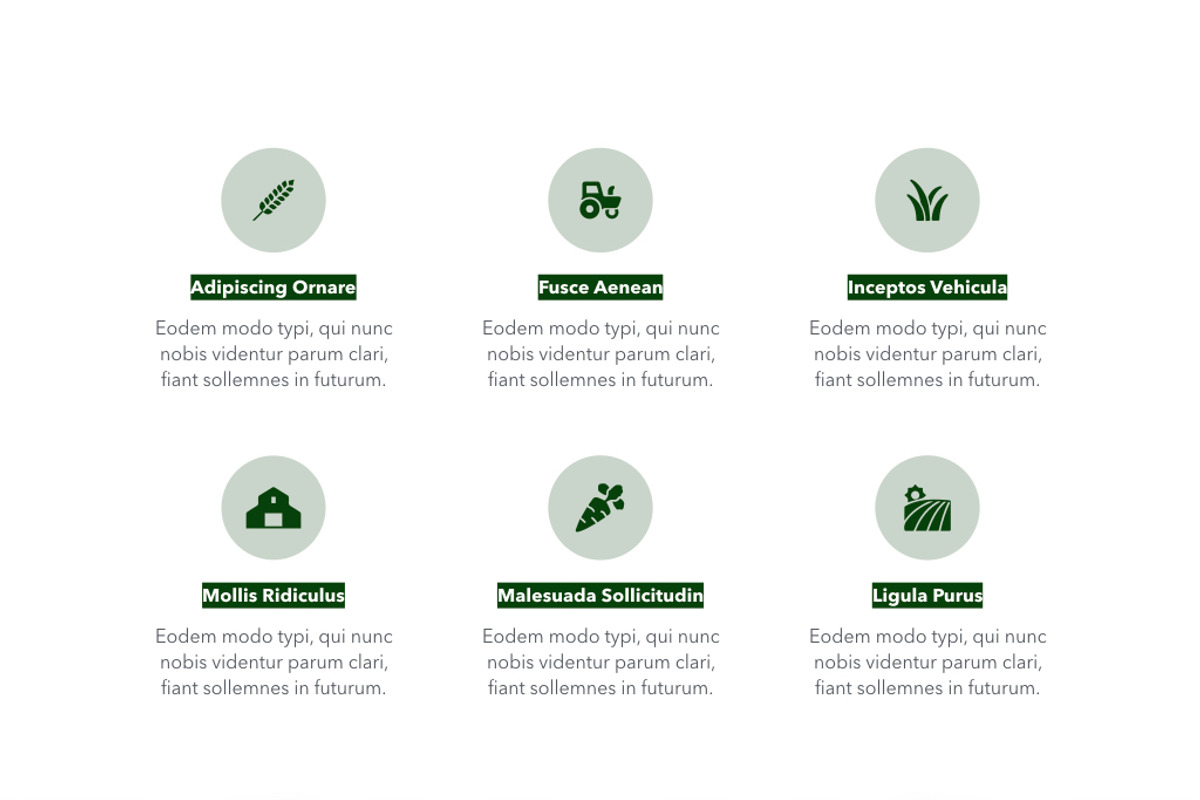 Farming Keynote Template, a Presentation Template by Jumsoft (Photo 8 of 21)