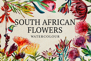 South African Flowers