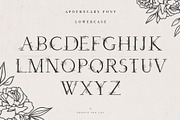 Apothecary Display Font, a Font by Create The Cut (Thumbnail 5 of 13)