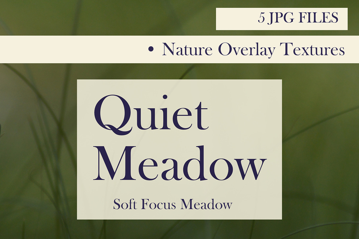 Quiet Meadow — Soft Focus Meadow, a Background Graphic by Aga Silva (Photo 5 of 5)