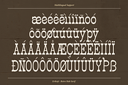 Erikoji | Retro Slab Serif, a Slab Serif Font by Denustudios (Thumbnail 14 of 16)