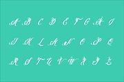 Pen Swan, a Script Font by Great Lakes Lettering (Thumbnail 3 of 11)