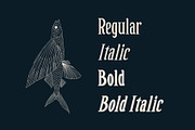 Golden Cape Font + Bonus, a Serif Font by Emyself Design (Thumbnail 2 of 10)