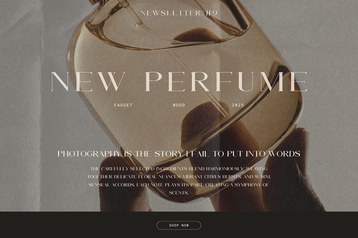 Afire - New Modern Simple Serif, a Serif Font by Muflieart (Photo 4 of 10)