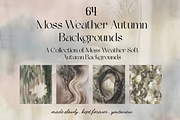 Moss Weather Soft Autumn Backgrounds, a Background Graphic by youtoview (Thumbnail 1 of 11)