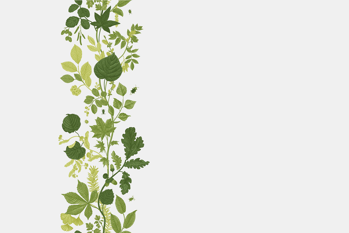 Leafy, a Decorative Illustration by olga.korneeva (Photo 15 of 16)