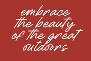 Betany Salena Monoline Brush Font, a Script Font by Letterena Studios Script (Thumbnail 4 of 15)