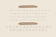 Madyra Monoline Script, a Script Font by Forberas Club (Thumbnail 7 of 9)