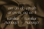 Santiago - Modern Chic Stylish Font, a Sans Serif Font by Sensatype (Thumbnail 6 of 17)