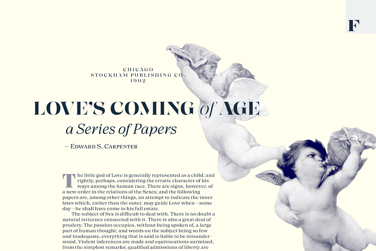 Grand Cru Superfamily, a Serif Font by Fenotype (Photo 6 of 14)