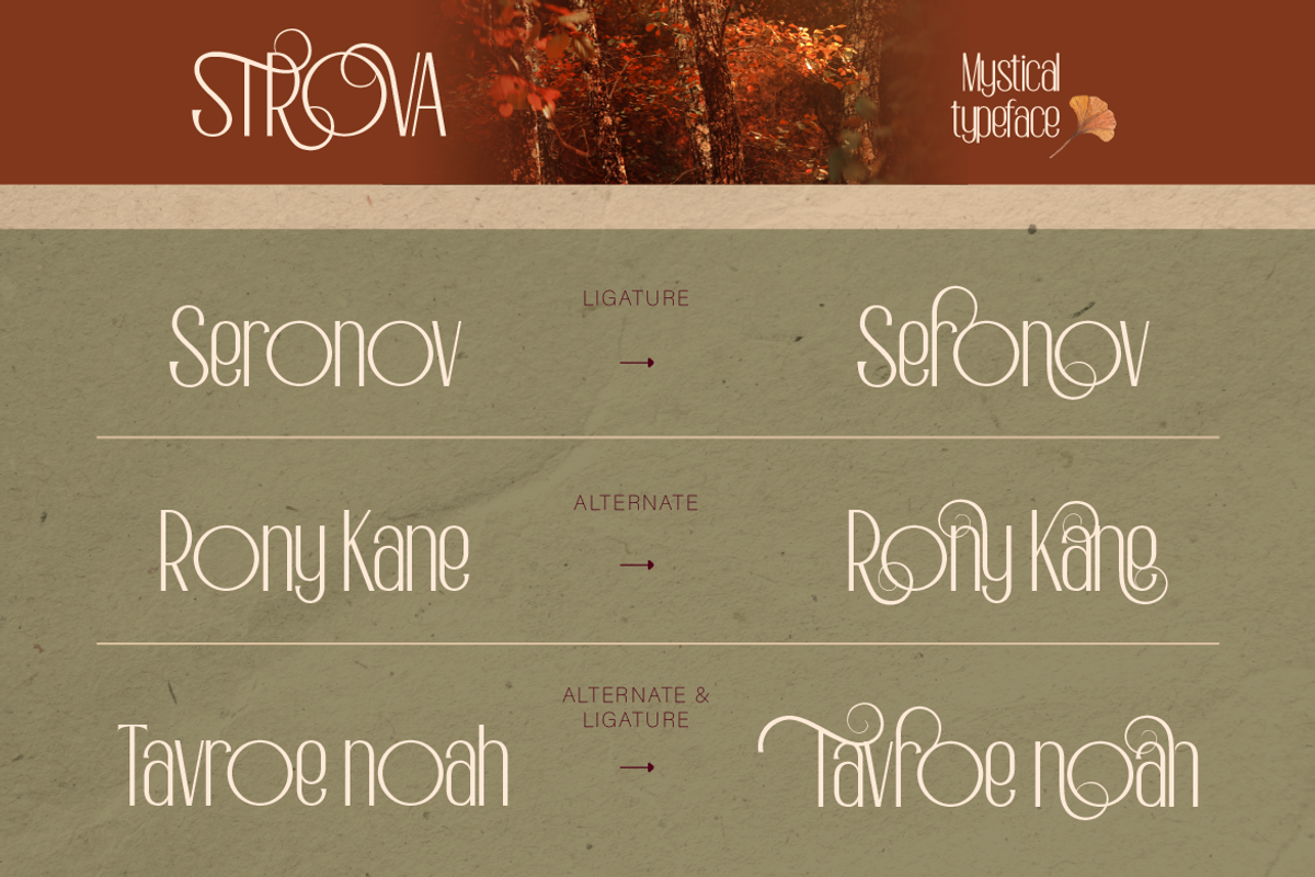Strova, a Sans Serif Font by Burntilldead (Photo 8 of 12)