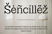 CS Sullivan – Serif Font, a Serif Font by Craft Supply Co. (Thumbnail 7 of 8)