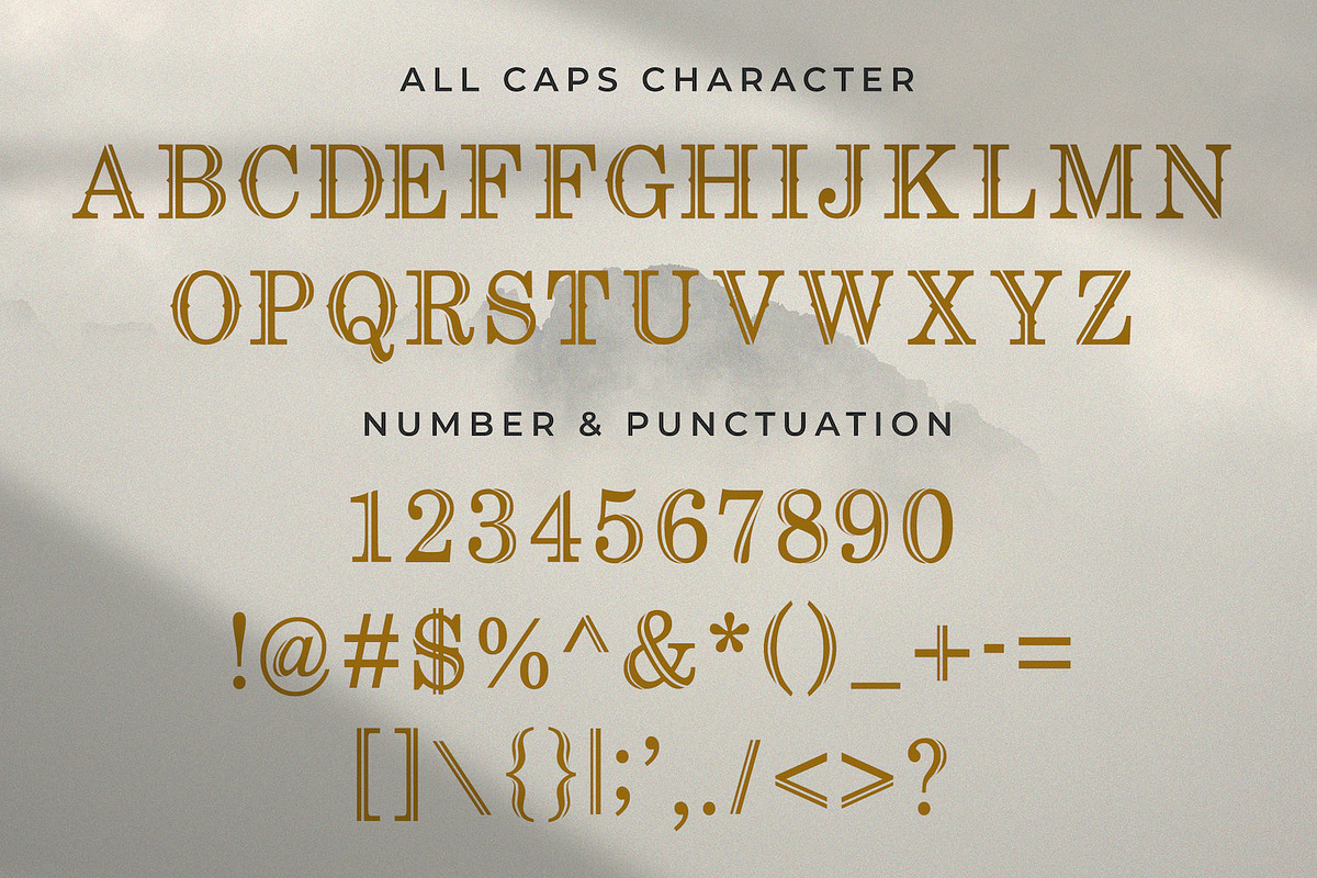 Revij Anovik - Decorative Serif Font, a Serif Font by StringLabs (Photo 9 of 11)
