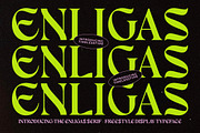 Enligas Modern Serif Display Font, a Serif Font by timelesstype.co (Thumbnail 9 of 15)