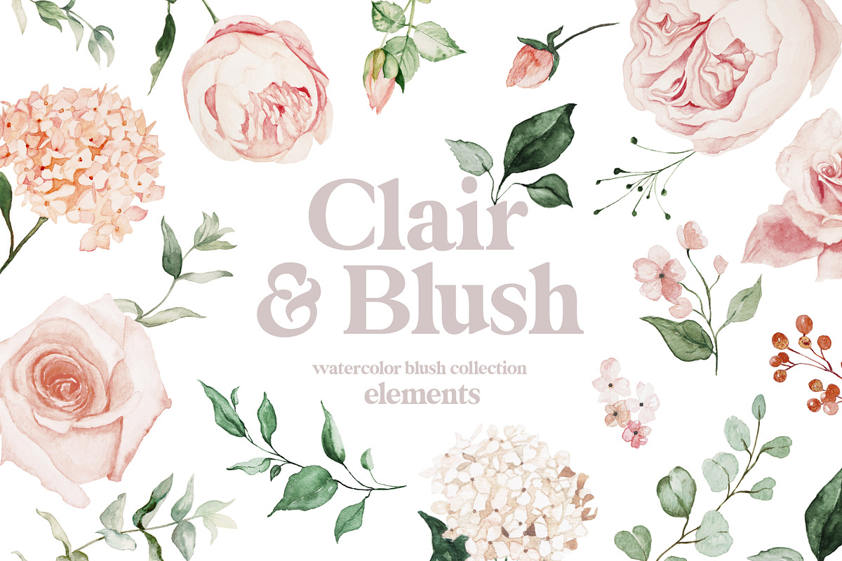 Clair & Blush - Summer Floral Set, an Illustration by studioequinox (Photo 2 of 14)