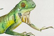 Watercolor Iguanas Clip Art, an Animal Illustration by Tati Bordiu (Thumbnail 3 of 4)