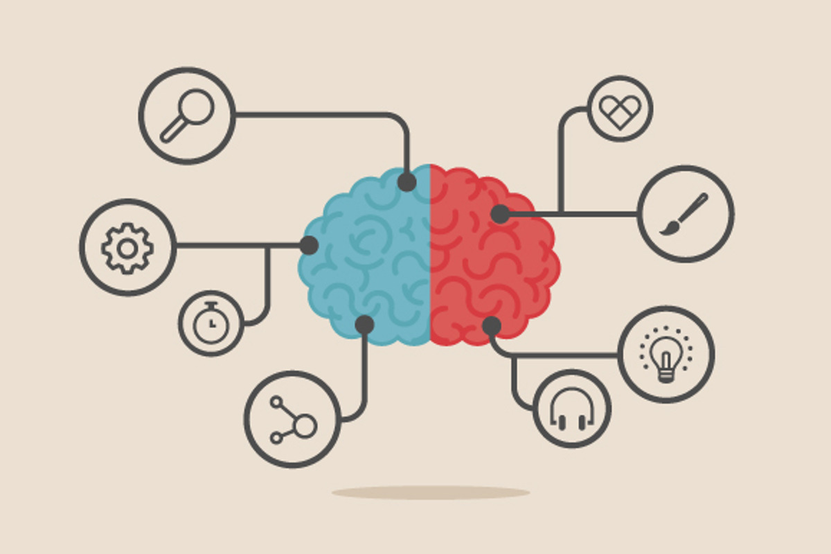 Brain infographics, a Work Illustration by Beatriz Gascón (Photo 5 of 5)