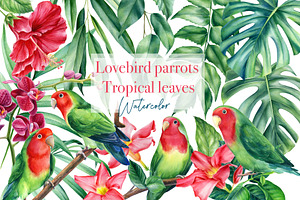 Lovebird Parrots And Tropical Leaves