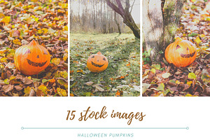 Rustic Pumpkin Garden