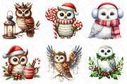 Watercolor Christmas Owl Clipart, an Illustration by DreamPrint404 (Thumbnail 2 of 6)