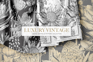 Luxury Vintage Exotic Collection