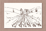 Hand drawn vineyards illustrations, an Illustration by Blue Ink Studio (Thumbnail 4 of 5)
