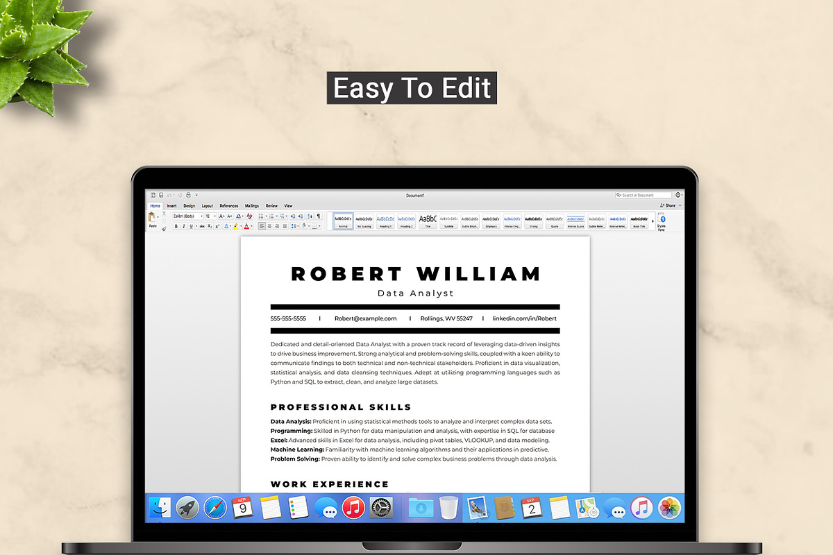 Data Analyst Resume Template, a Resume Template by ResumeInventor (Photo 5 of 9)
