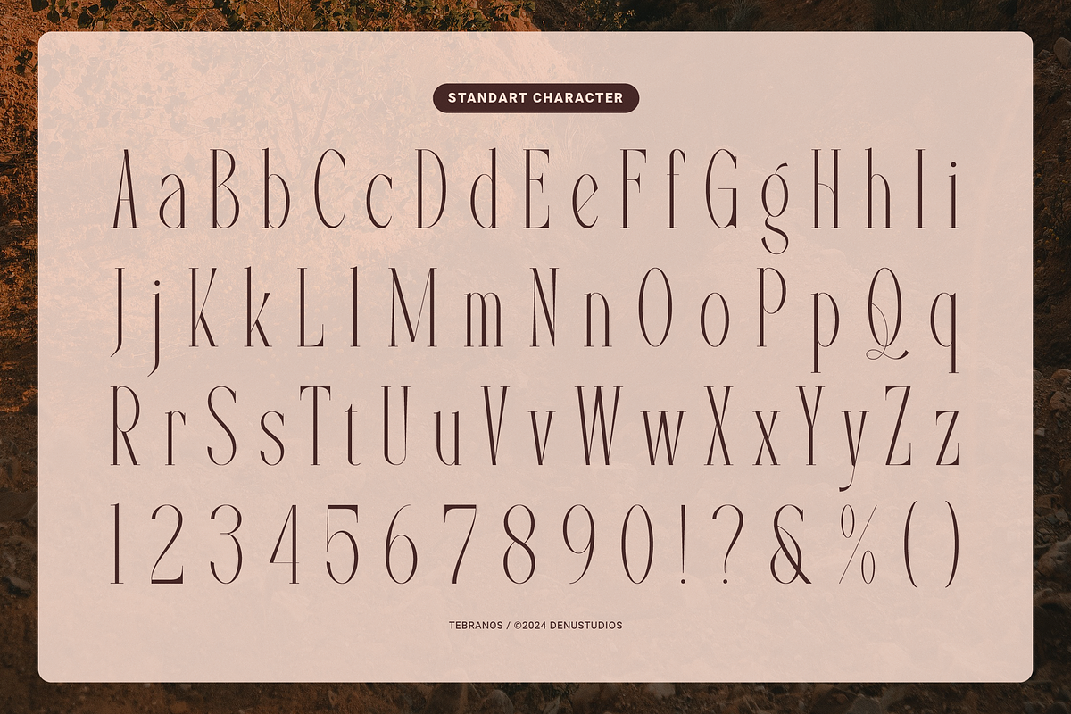 Tebranos | Modern Display Serif, a Serif Font by Denustudios (Photo 11 of 13)