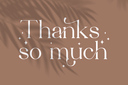 Edhan Martine | 150 Ligatures, a Serif Font by Sealoung (Thumbnail 18 of 18)