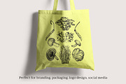 Medicinal Mushrooms & Plants Set, a Healthcare Illustration by Yevheniia (Thumbnail 5 of 12)