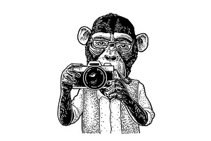 Monkey photographer engrave, an Animal Illustration by MoreVector